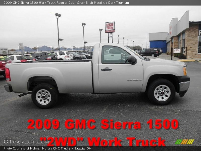 Silver Birch Metallic / Dark Titanium 2009 GMC Sierra 1500 Work Truck Regular Cab