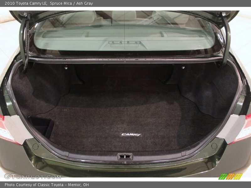 Spruce Mica / Ash Gray 2010 Toyota Camry LE
