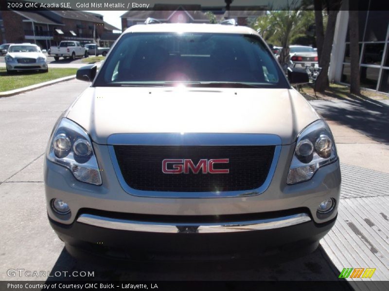 Gold Mist Metallic / Ebony 2009 GMC Acadia SLE