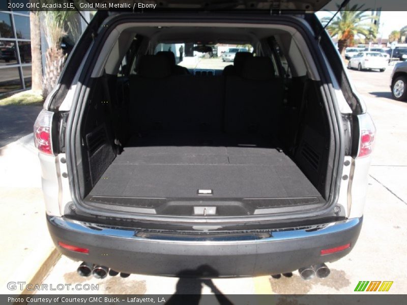 Gold Mist Metallic / Ebony 2009 GMC Acadia SLE