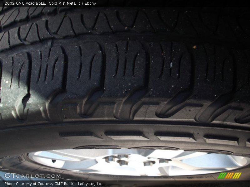 Gold Mist Metallic / Ebony 2009 GMC Acadia SLE