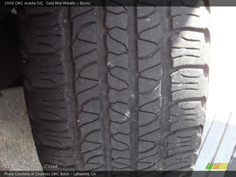 Gold Mist Metallic / Ebony 2009 GMC Acadia SLE