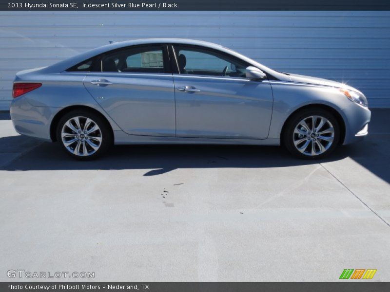 Iridescent Silver Blue Pearl / Black 2013 Hyundai Sonata SE