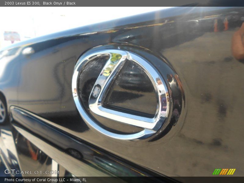 Black Onyx / Black 2003 Lexus ES 300