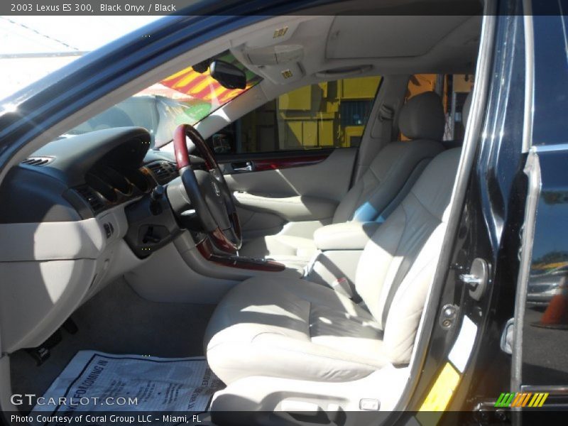 Black Onyx / Black 2003 Lexus ES 300