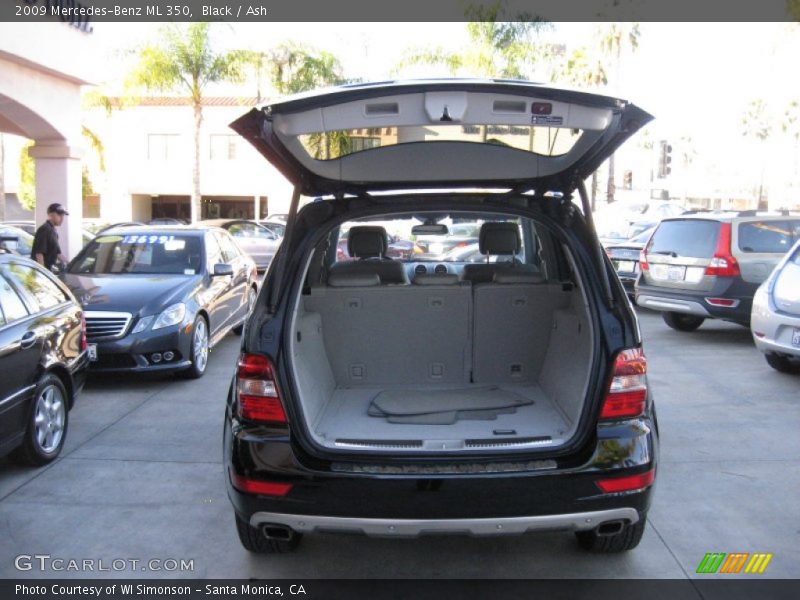 Black / Ash 2009 Mercedes-Benz ML 350