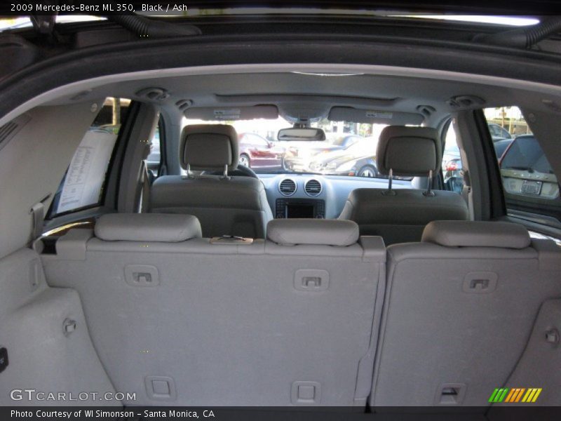 Black / Ash 2009 Mercedes-Benz ML 350