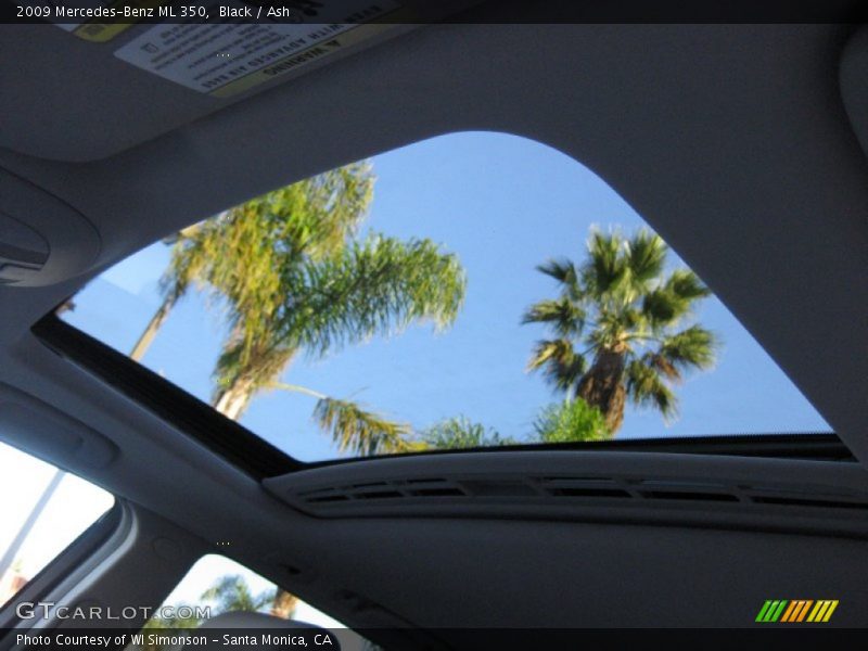 Black / Ash 2009 Mercedes-Benz ML 350