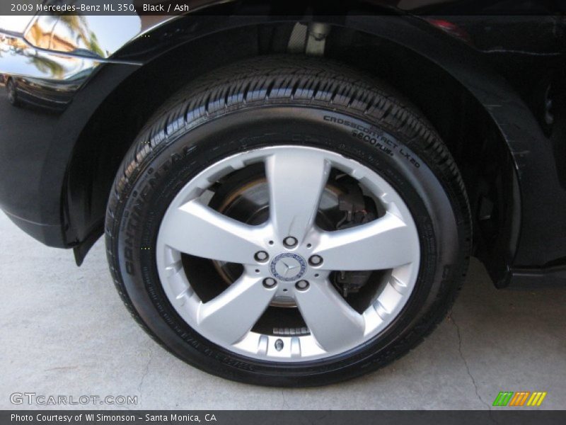 Black / Ash 2009 Mercedes-Benz ML 350
