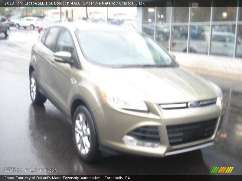 Ginger Ale Metallic / Charcoal Black 2013 Ford Escape SEL 1.6L EcoBoost 4WD