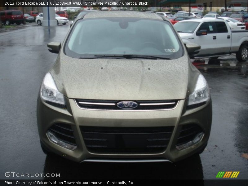 Ginger Ale Metallic / Charcoal Black 2013 Ford Escape SEL 1.6L EcoBoost 4WD