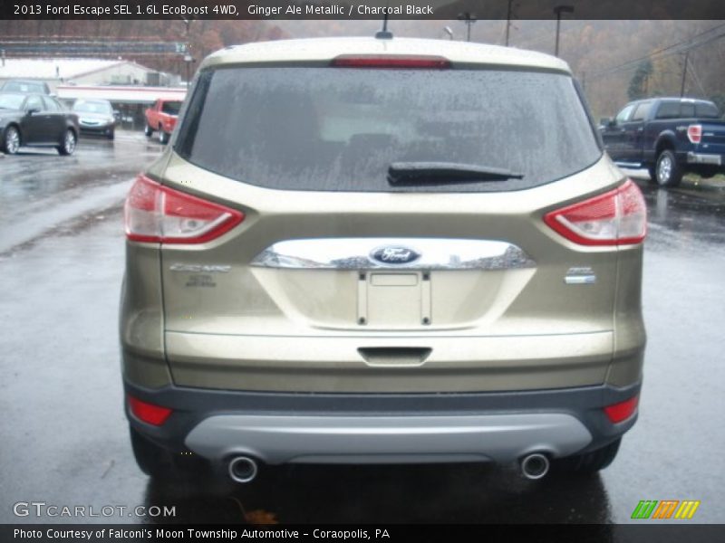 Ginger Ale Metallic / Charcoal Black 2013 Ford Escape SEL 1.6L EcoBoost 4WD