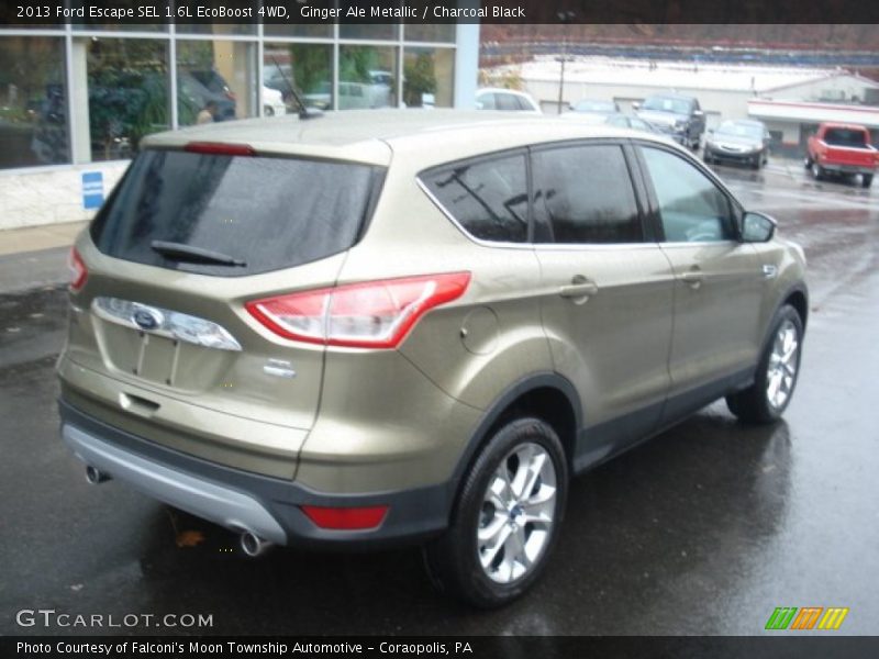 Ginger Ale Metallic / Charcoal Black 2013 Ford Escape SEL 1.6L EcoBoost 4WD