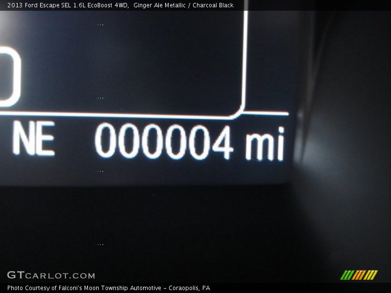 Ginger Ale Metallic / Charcoal Black 2013 Ford Escape SEL 1.6L EcoBoost 4WD