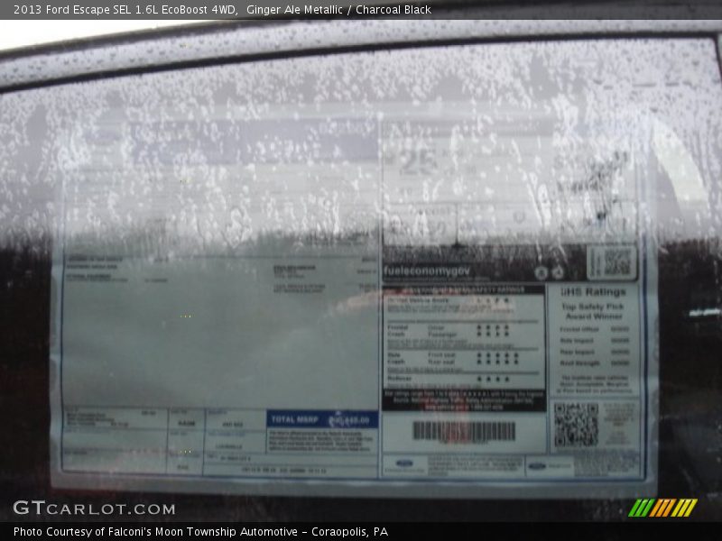 Ginger Ale Metallic / Charcoal Black 2013 Ford Escape SEL 1.6L EcoBoost 4WD