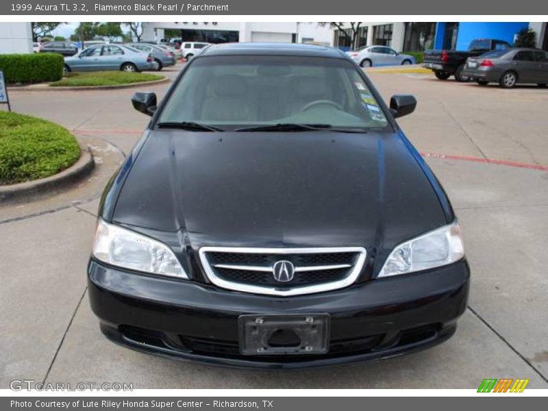 Flamenco Black Pearl / Parchment 1999 Acura TL 3.2