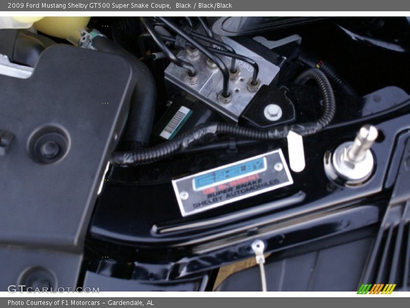  2009 Mustang Shelby GT500 Super Snake Coupe Engine - 5.4 Liter Shelby Super Snake Supercharged DOHC 32-Valve V8