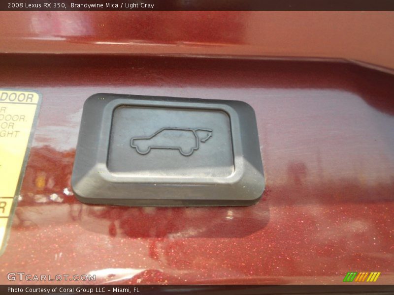 Brandywine Mica / Light Gray 2008 Lexus RX 350