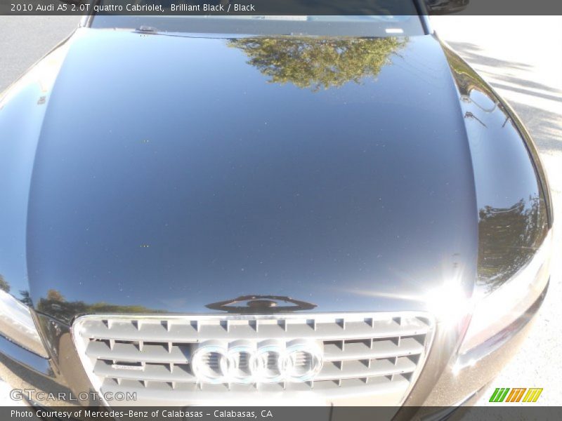 Brilliant Black / Black 2010 Audi A5 2.0T quattro Cabriolet