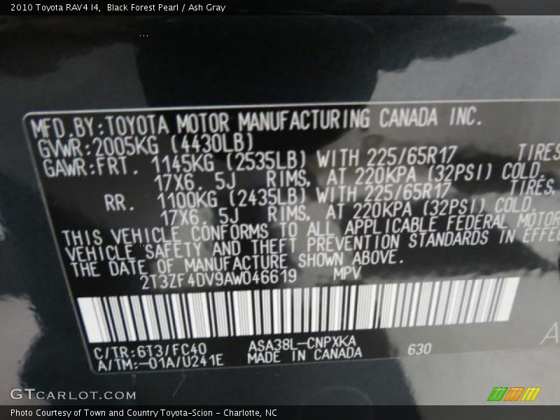 Black Forest Pearl / Ash Gray 2010 Toyota RAV4 I4