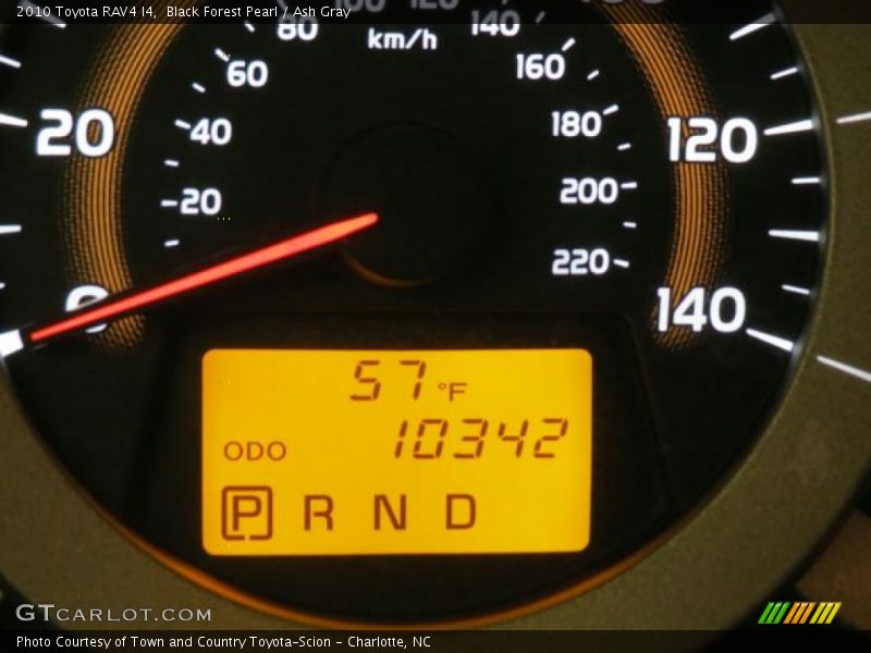 Black Forest Pearl / Ash Gray 2010 Toyota RAV4 I4