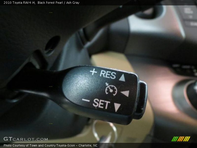 Black Forest Pearl / Ash Gray 2010 Toyota RAV4 I4