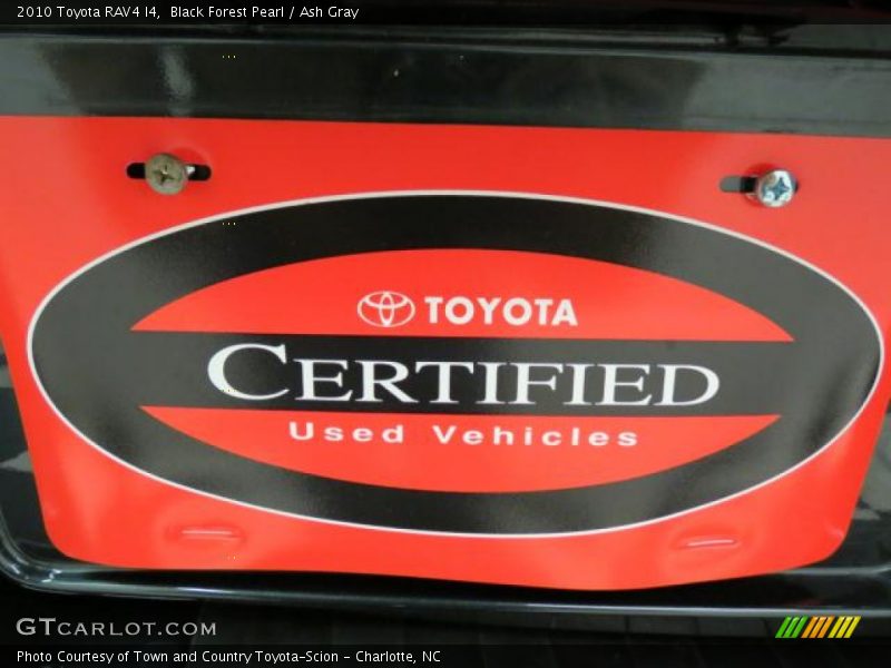 Black Forest Pearl / Ash Gray 2010 Toyota RAV4 I4