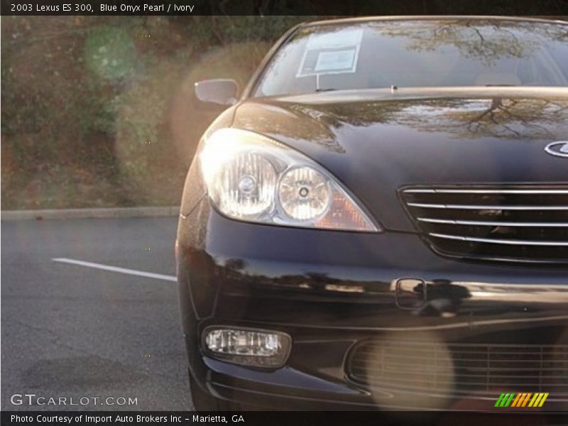 Blue Onyx Pearl / Ivory 2003 Lexus ES 300