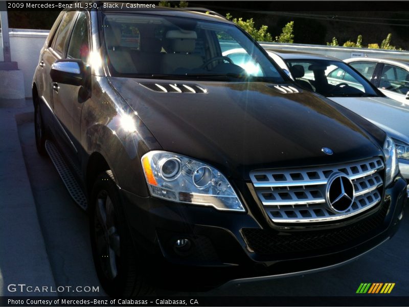 Black / Cashmere 2009 Mercedes-Benz ML 350