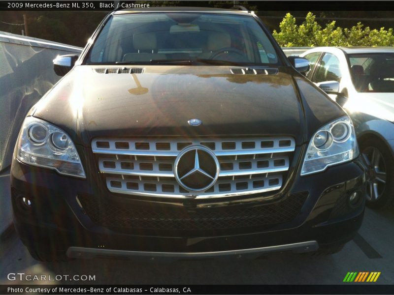 Black / Cashmere 2009 Mercedes-Benz ML 350