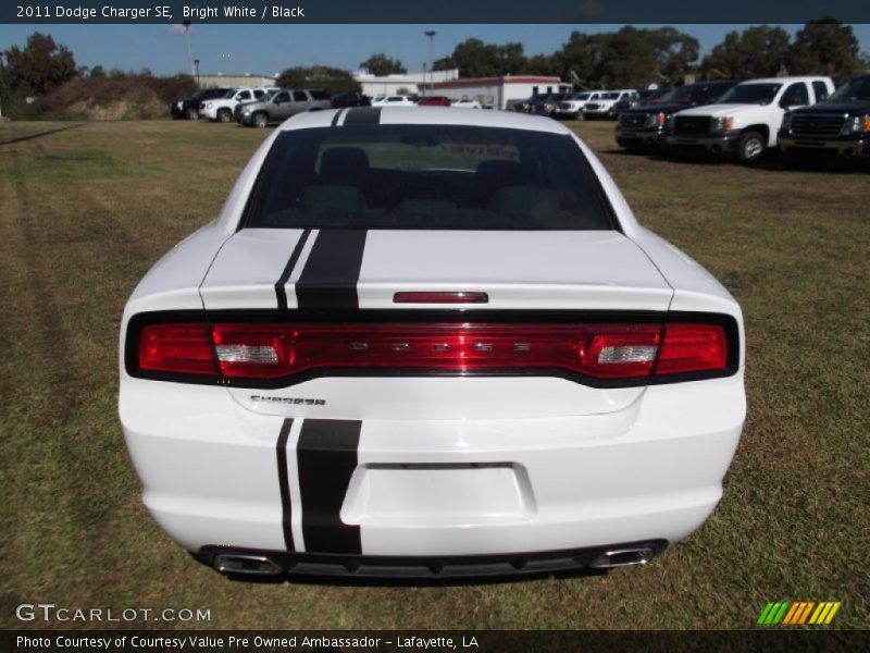 Bright White / Black 2011 Dodge Charger SE