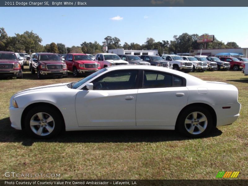 Bright White / Black 2011 Dodge Charger SE