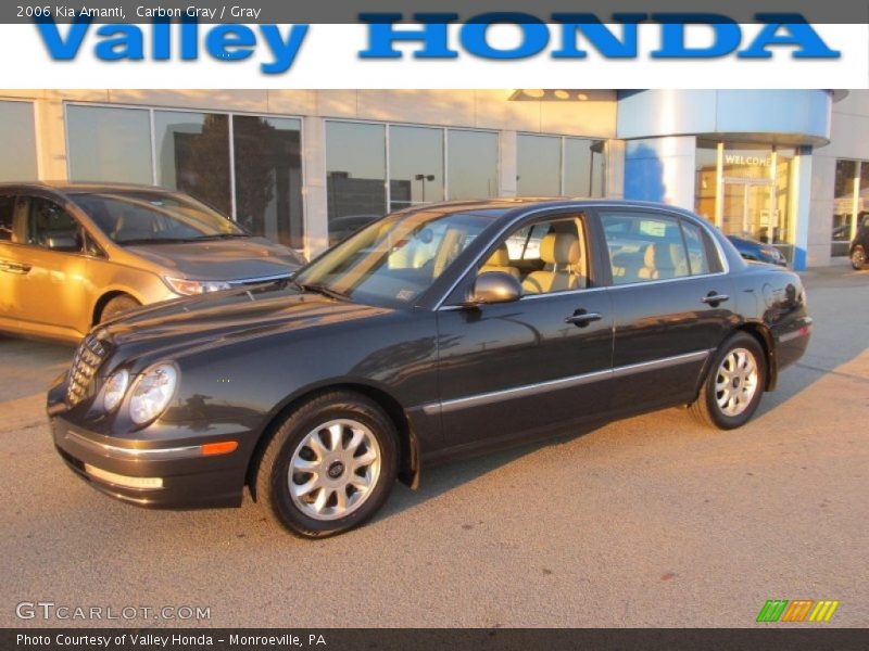 Carbon Gray / Gray 2006 Kia Amanti