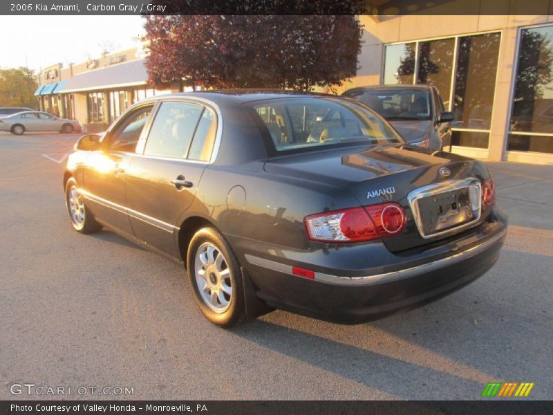 Carbon Gray / Gray 2006 Kia Amanti