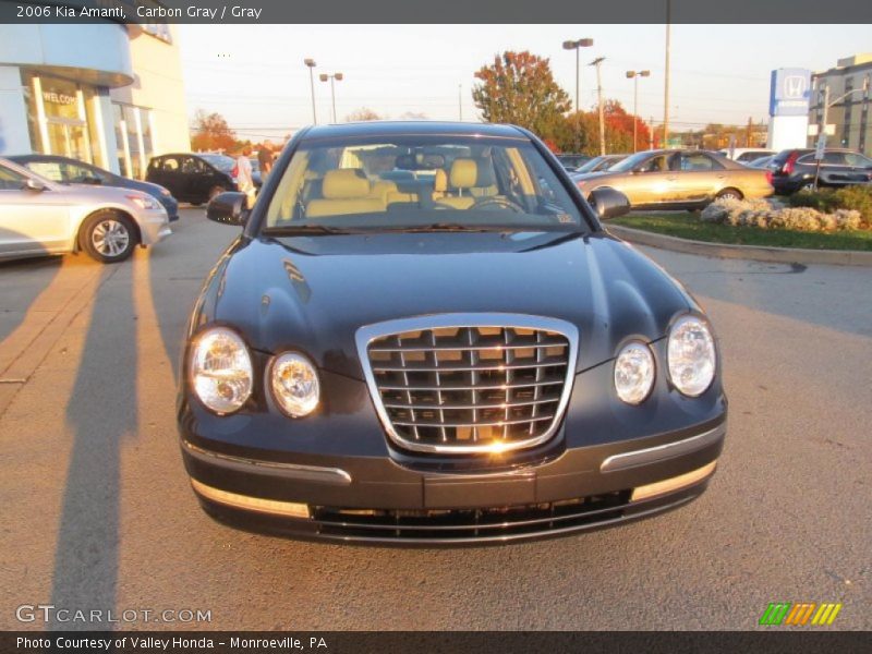 Carbon Gray / Gray 2006 Kia Amanti