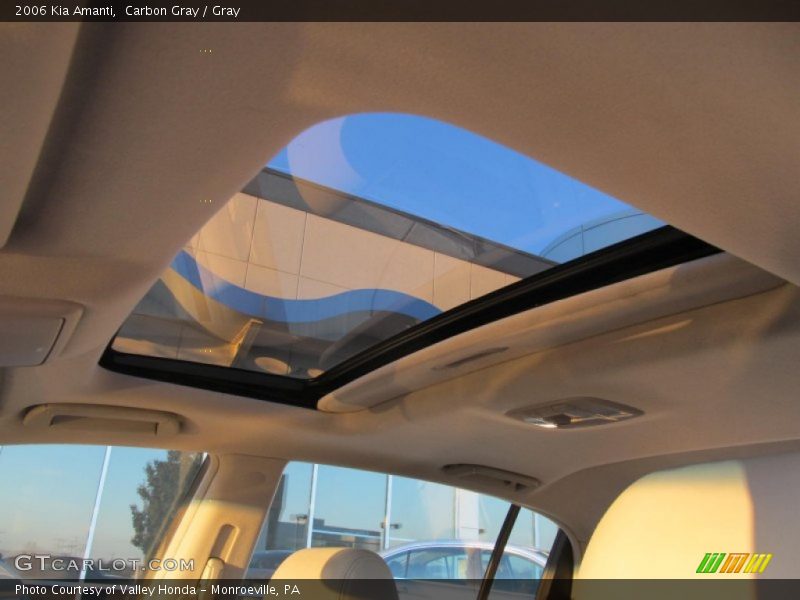 Carbon Gray / Gray 2006 Kia Amanti