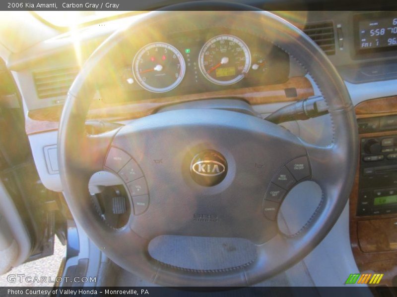 Carbon Gray / Gray 2006 Kia Amanti