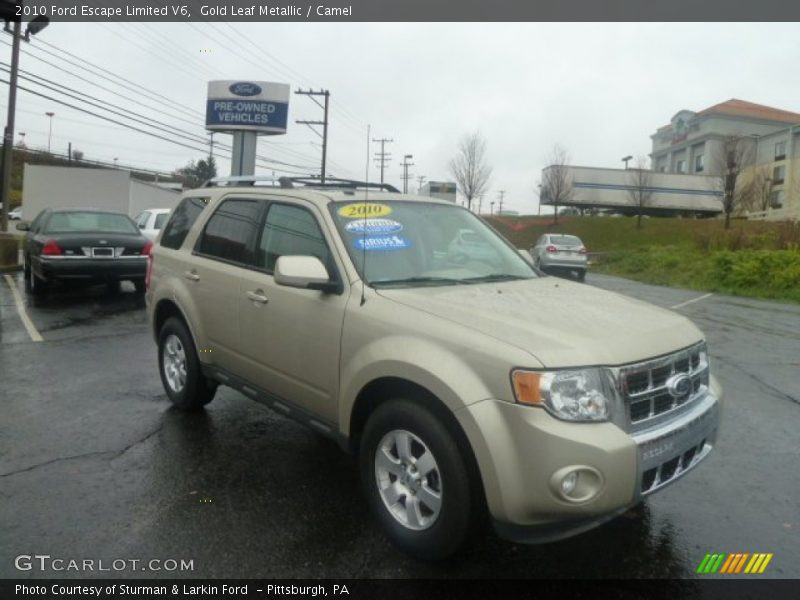 Gold Leaf Metallic / Camel 2010 Ford Escape Limited V6