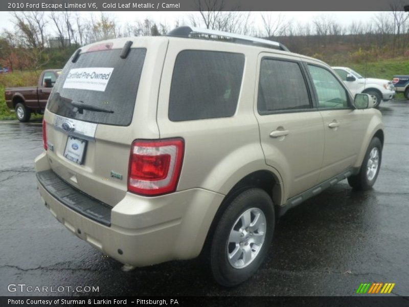 Gold Leaf Metallic / Camel 2010 Ford Escape Limited V6