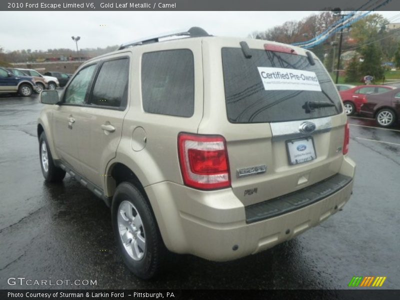 Gold Leaf Metallic / Camel 2010 Ford Escape Limited V6