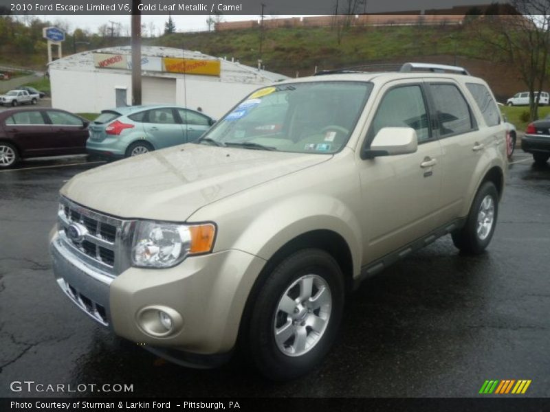 Gold Leaf Metallic / Camel 2010 Ford Escape Limited V6