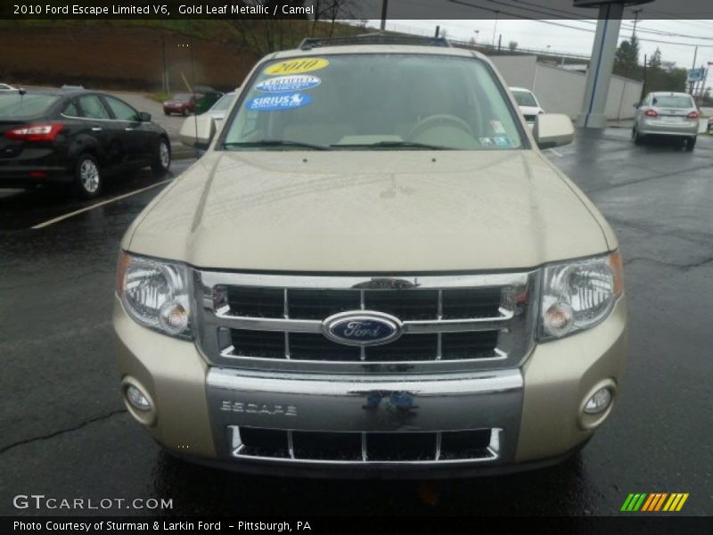 Gold Leaf Metallic / Camel 2010 Ford Escape Limited V6