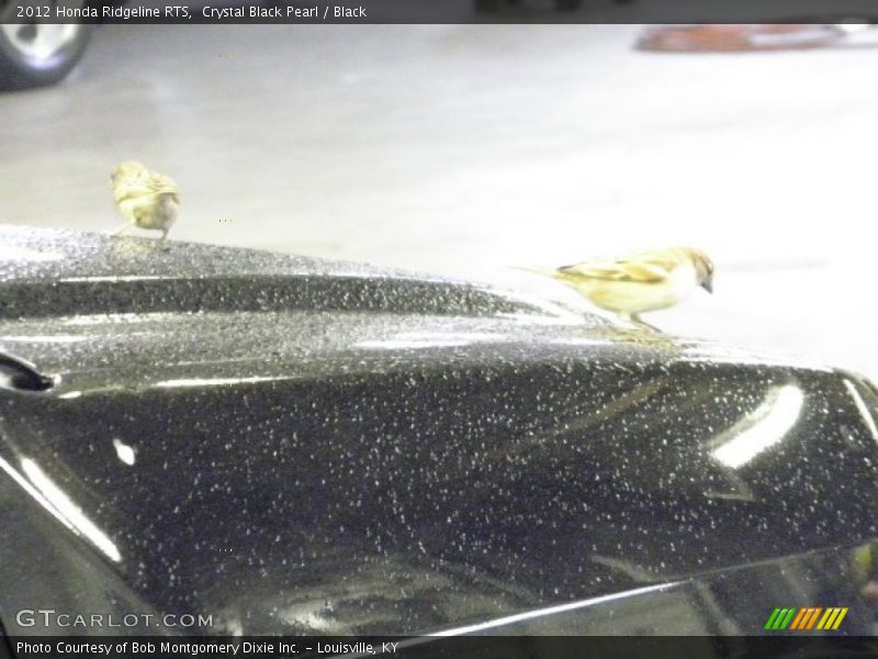 Crystal Black Pearl / Black 2012 Honda Ridgeline RTS