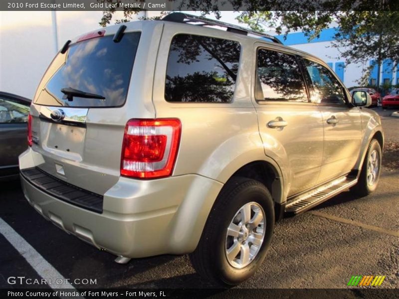 Gold Leaf Metallic / Camel 2010 Ford Escape Limited