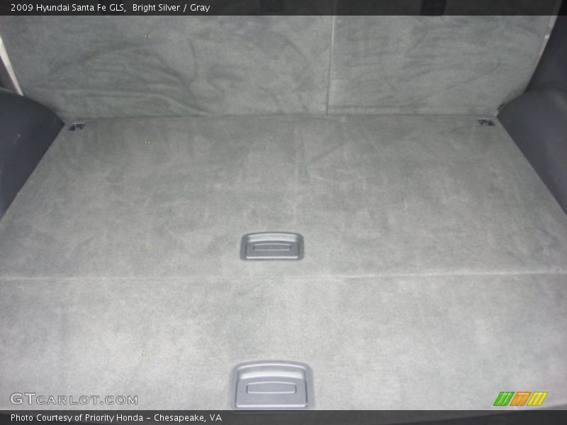 Bright Silver / Gray 2009 Hyundai Santa Fe GLS
