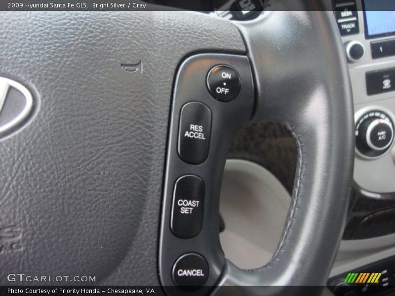 Bright Silver / Gray 2009 Hyundai Santa Fe GLS