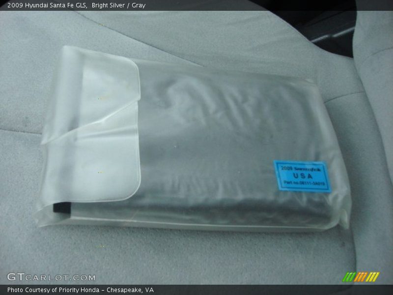 Bright Silver / Gray 2009 Hyundai Santa Fe GLS