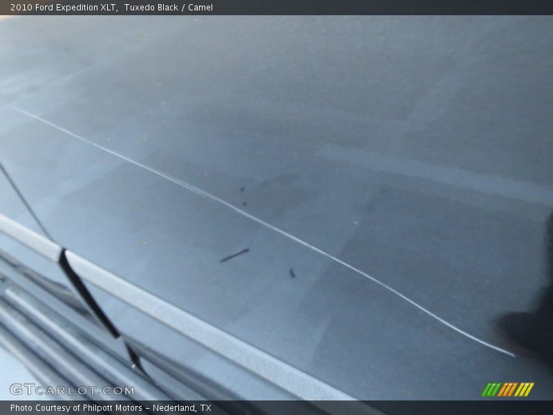 Tuxedo Black / Camel 2010 Ford Expedition XLT