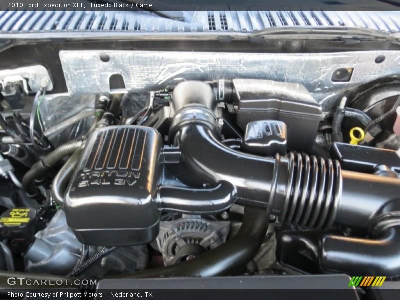 Tuxedo Black / Camel 2010 Ford Expedition XLT