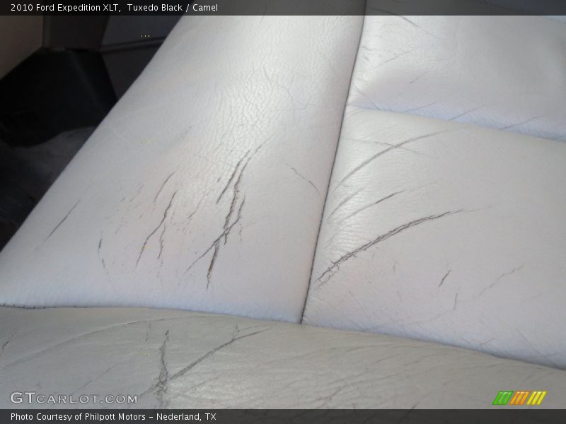 Tuxedo Black / Camel 2010 Ford Expedition XLT